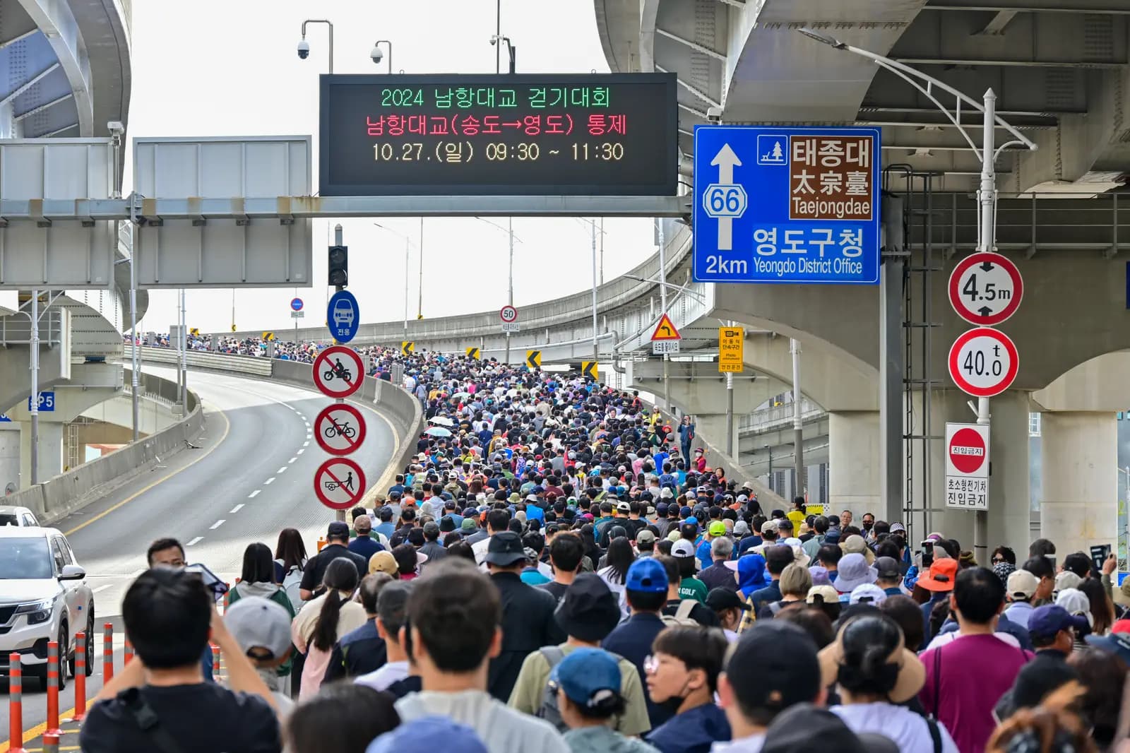 제15회(2024) 부산고등어축제 — 남항대교 걷기대회