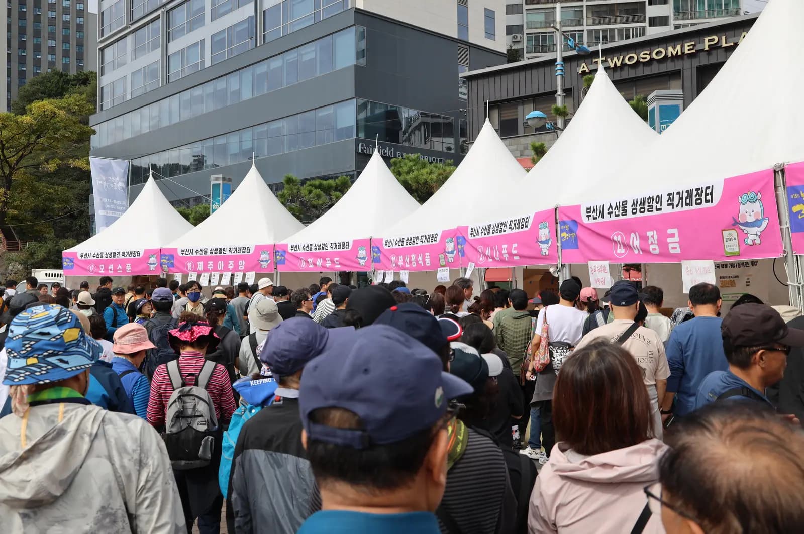 제15회(2024) 부산고등어축제 — 수산물 상생할인 직거래 장터