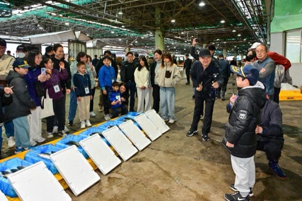 지난 축제 부산공동어시장 현장 체험 (2025)
