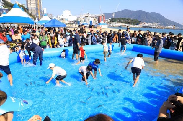제13회(2022) 부산고등어축제 — 맨손 고등어 잡기